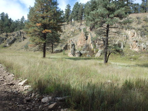 GDMBR: Cycling north on NF-28, La Jolla Canyon, Gila NF, NM.